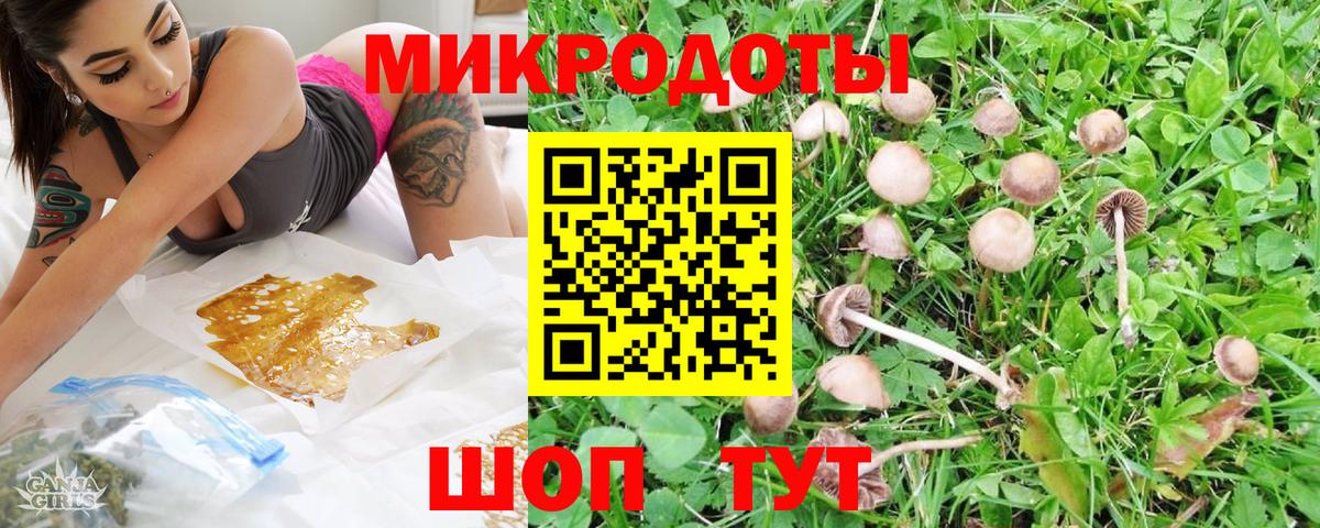 Галлюциногенные грибы GOLDEN TEACHER Рязань
